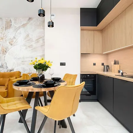 Black And Yellow In Close To The River With Air Conditioned Living By Renters Appartement *