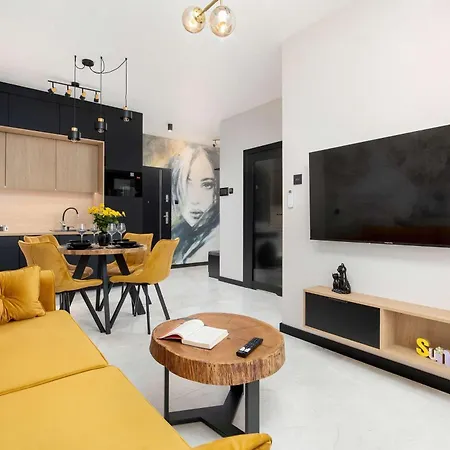 Black And Yellow In Close To The River With Air Conditioned Living By Renters Rzeszów